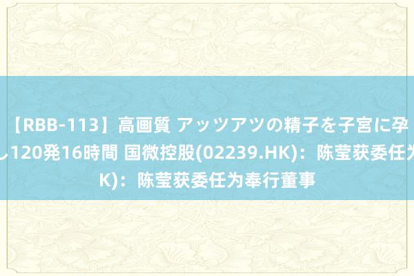 【RBB-113】高画質 アッツアツの精子を子宮に孕ませ中出し120発16時間 国微控股(02239.HK)：陈莹获委任为奉行董事