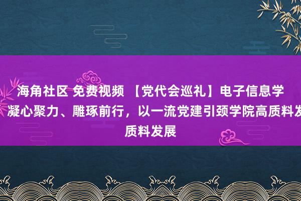 海角社区 免费视频 【党代会巡礼】电子信息学院：凝心聚力、雕琢前行，以一流党建引颈学院高质料发展