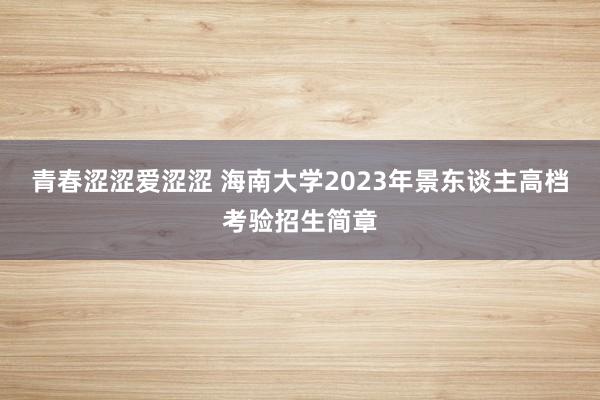 青春涩涩爱涩涩 海南大学2023年景东谈主高档考验招生简章